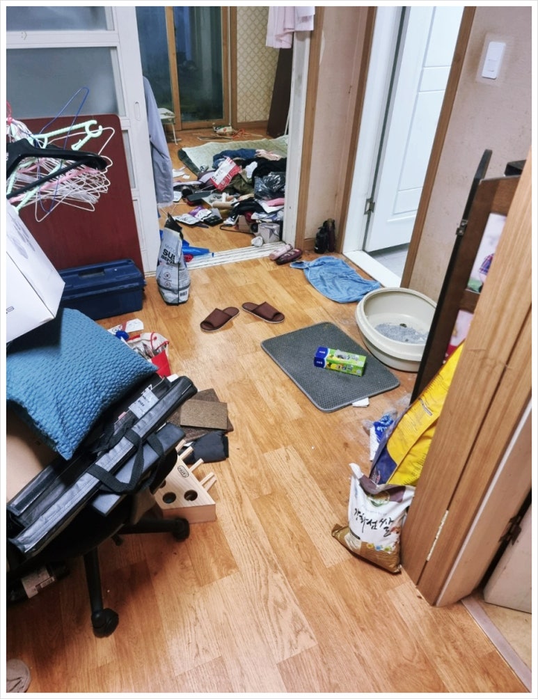 결벽우렁각시 이미지