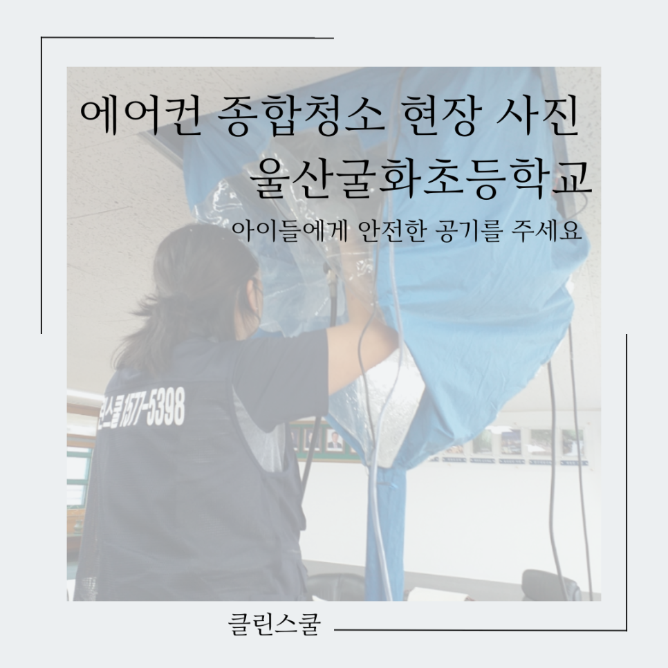 클린스쿨 울산 이미지