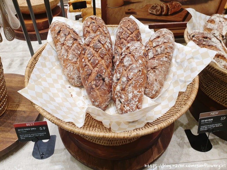 프랑제리NC대전 이미지