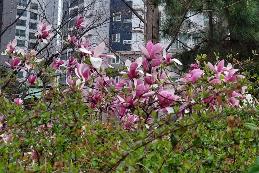 블루샥온천천공원점 이미지