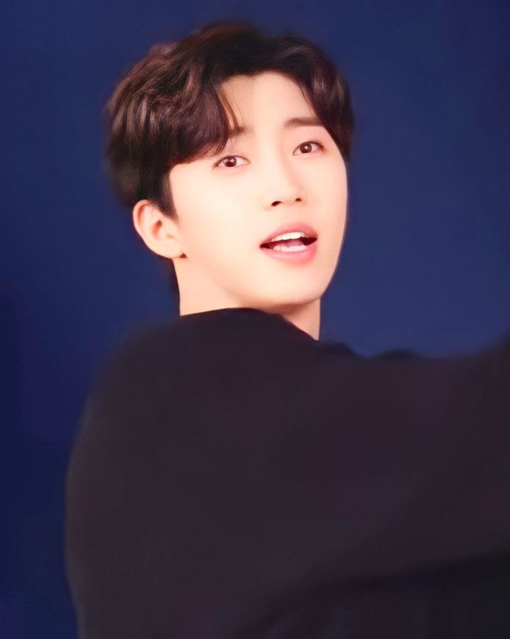 선차이 이미지