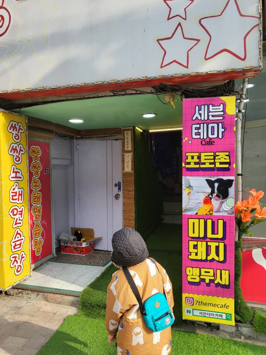 앵무새노래연습장 이미지