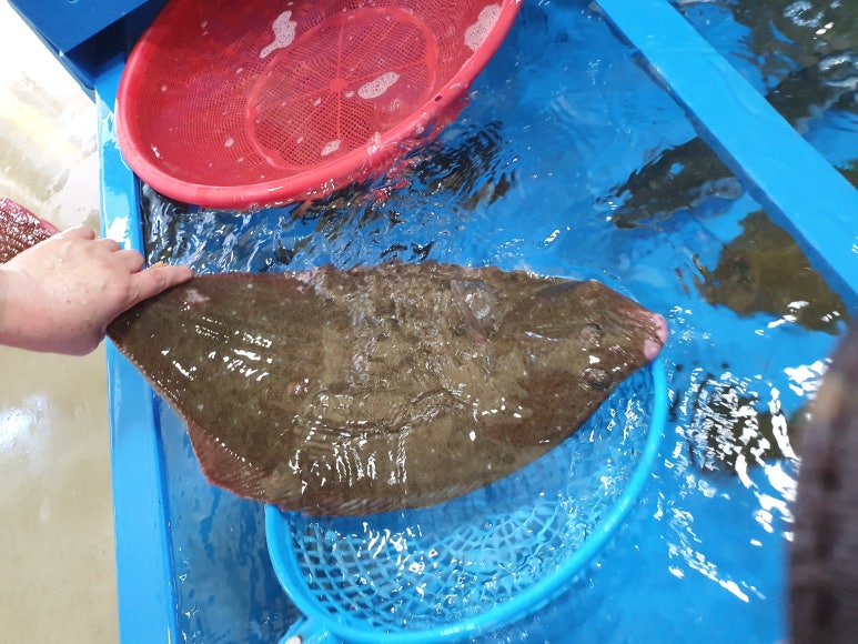 일미유통 이미지