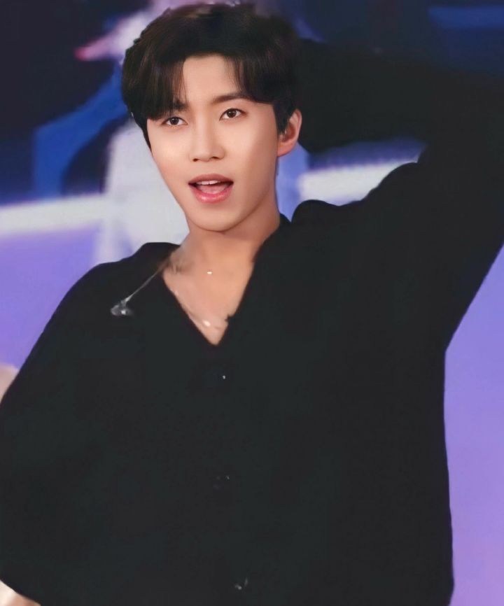 선차이 이미지