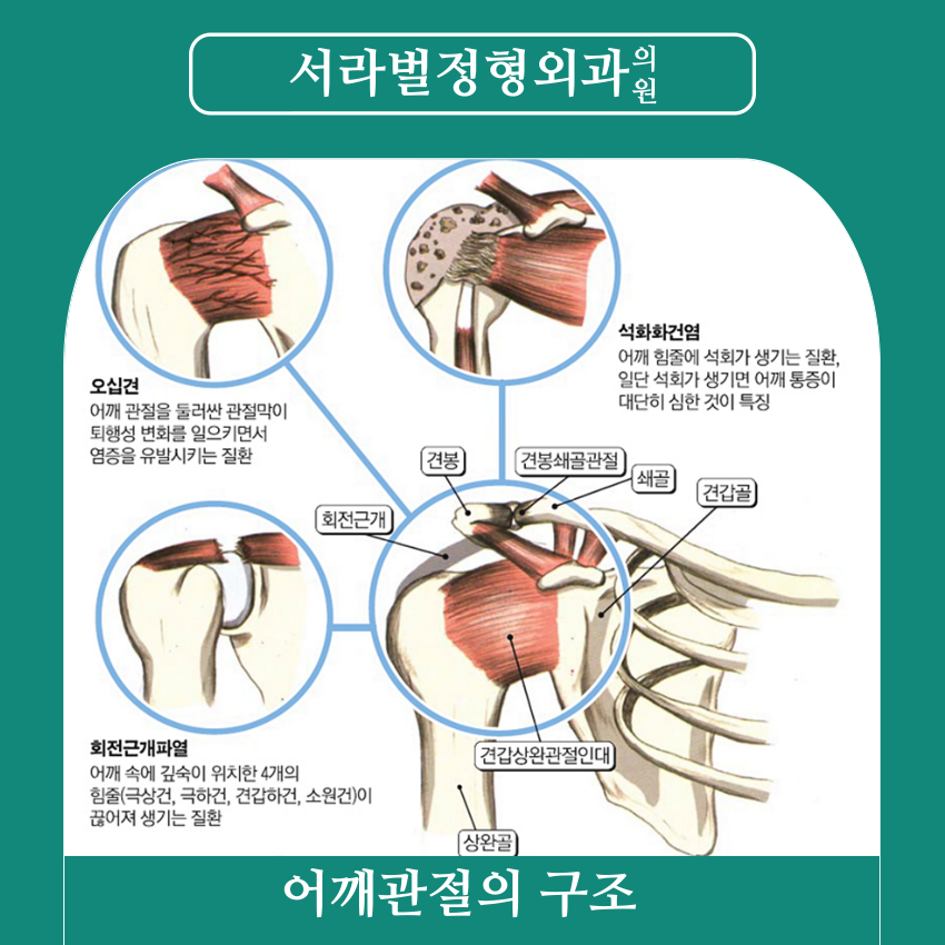 서라벌정형외과 이미지
