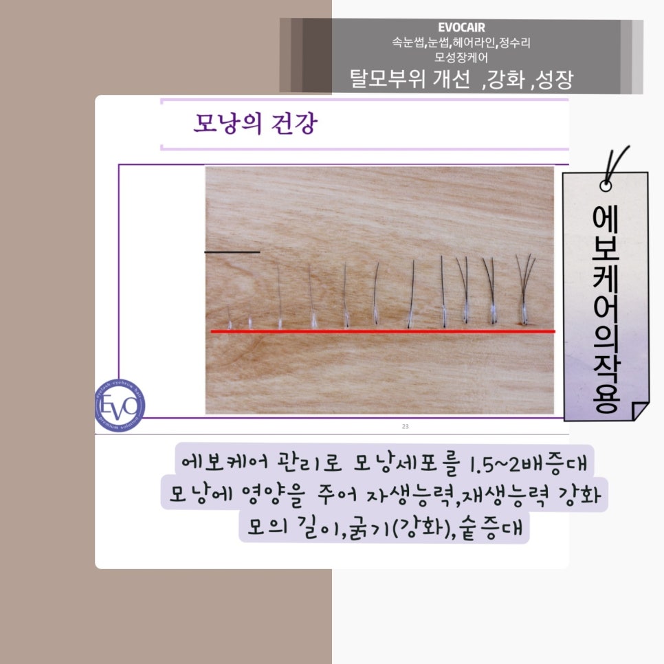 별하;네일 이미지