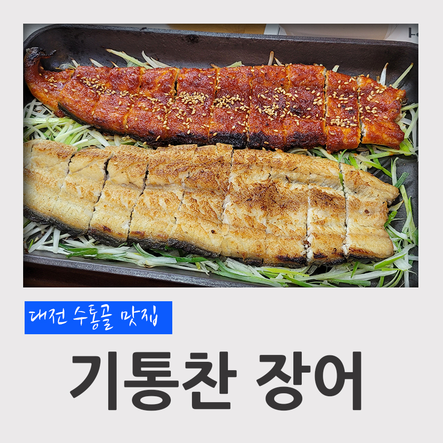 기통찬장어 이미지