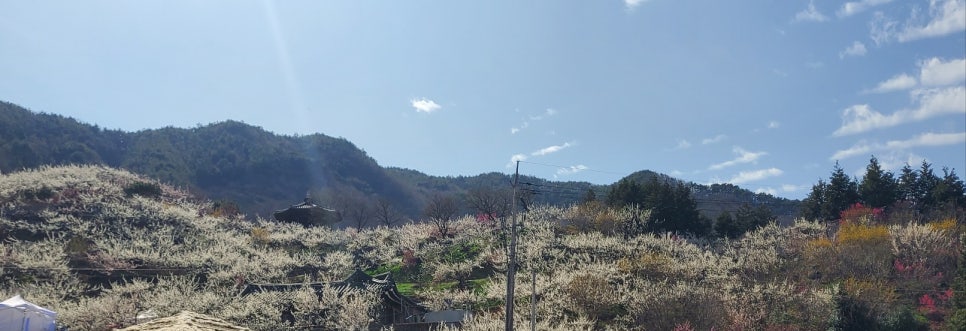 (주)더불어 이미지