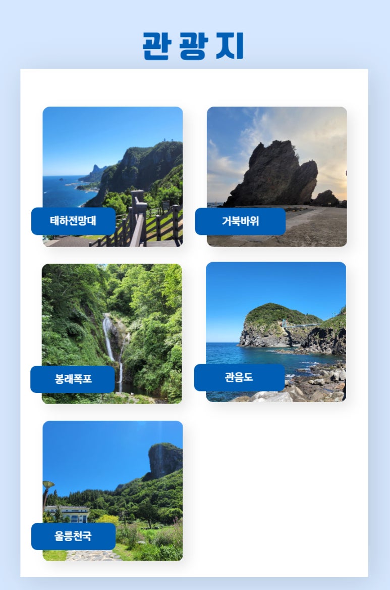 예주항공여행사 이미지