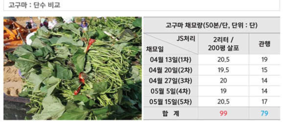 제이에스마트 이미지