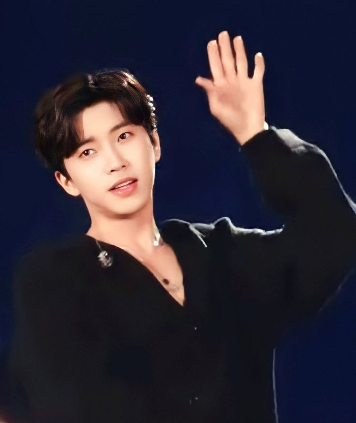 선차이 이미지