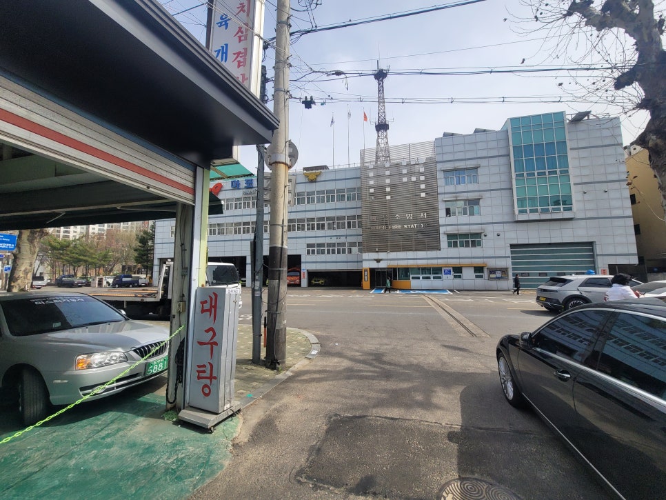 서강행정사 이미지