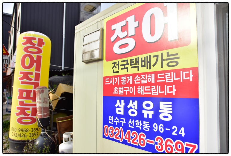 삼성장어 이미지
