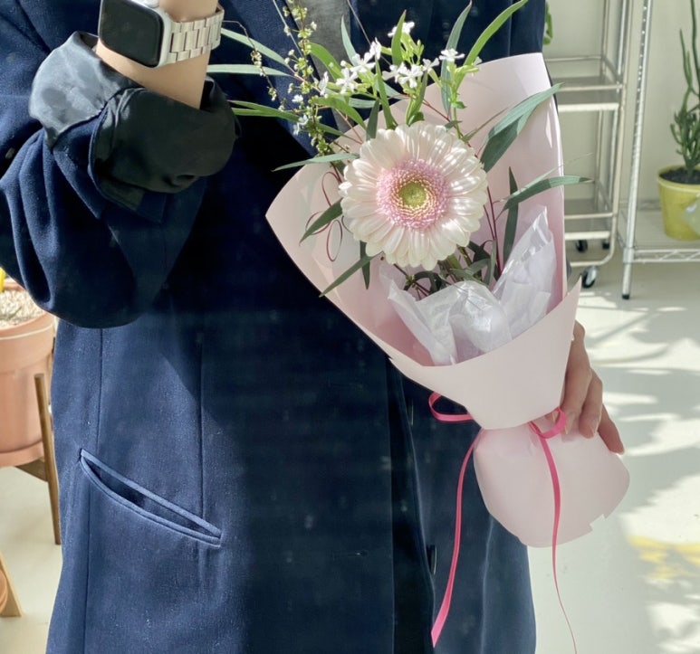 플로시아 이미지
