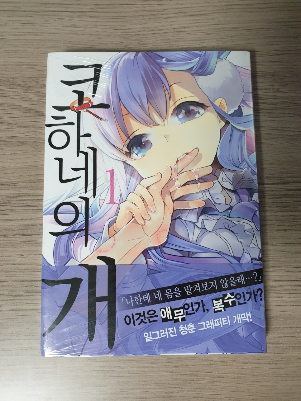 코하네 이미지