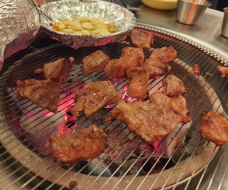 빽고기 이미지