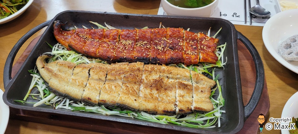 기통찬장어 이미지