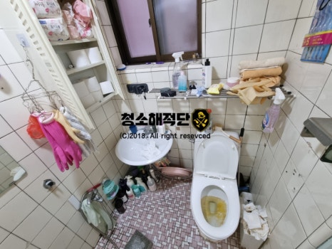 청소해적단 이미지