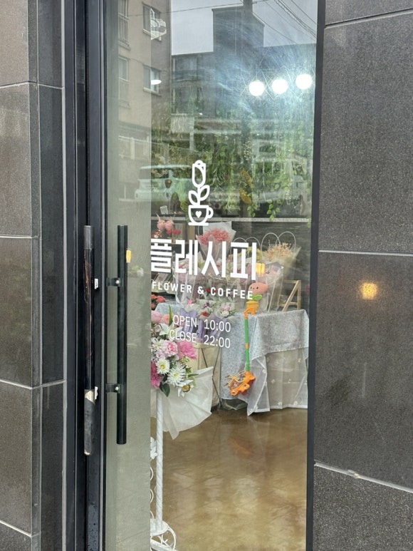 플레시피 이미지