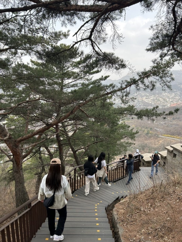 모어라이트 이미지
