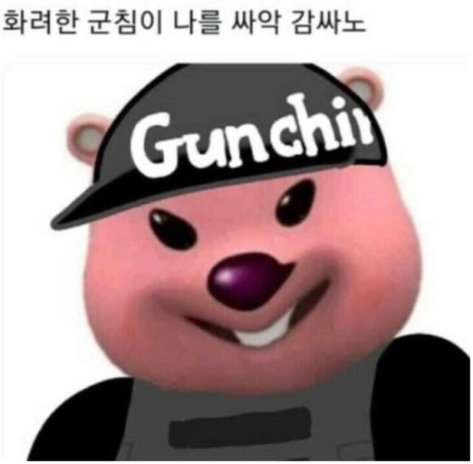 하이프렉스 이미지