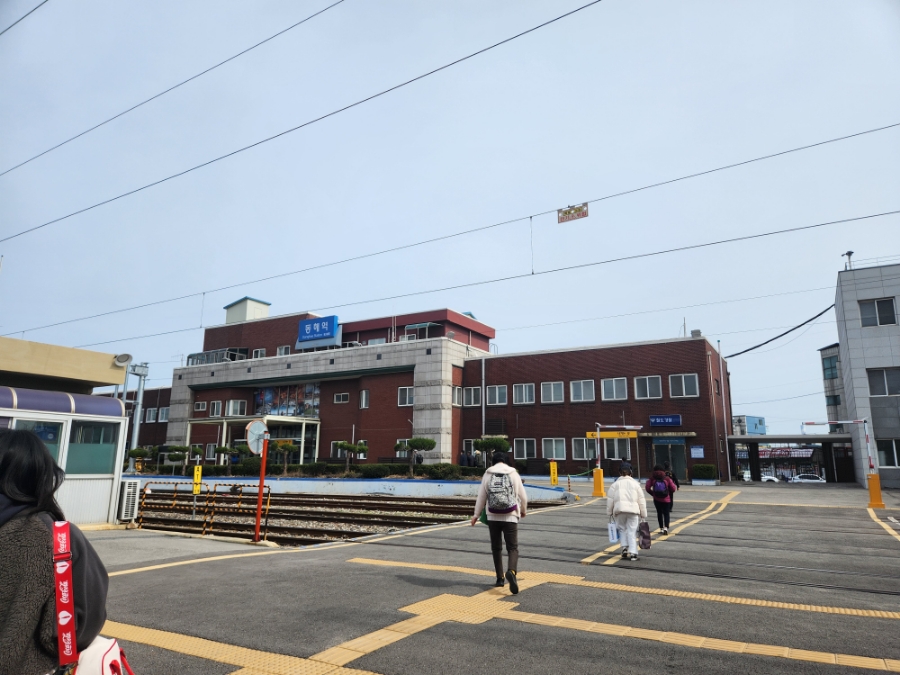 노브랜드 삼척중앙시장점 이미지