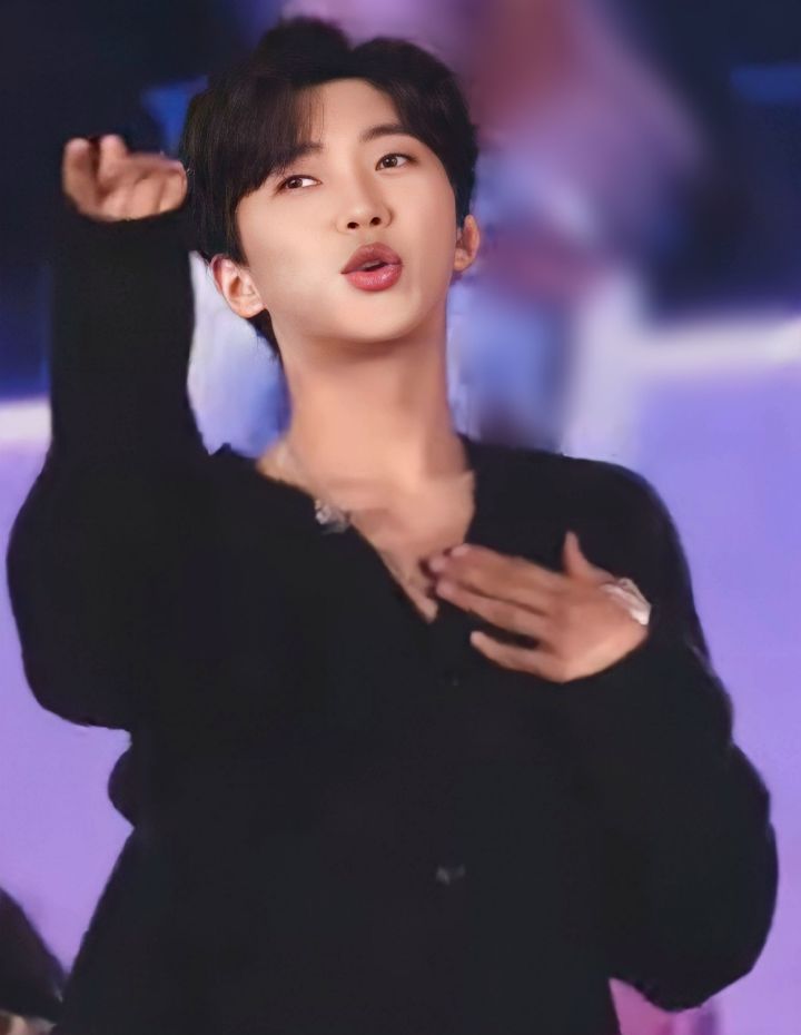 선차이 이미지