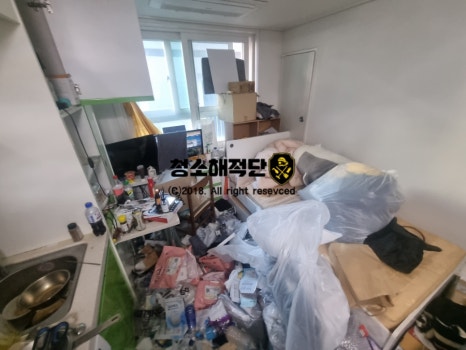 청소해적단 이미지