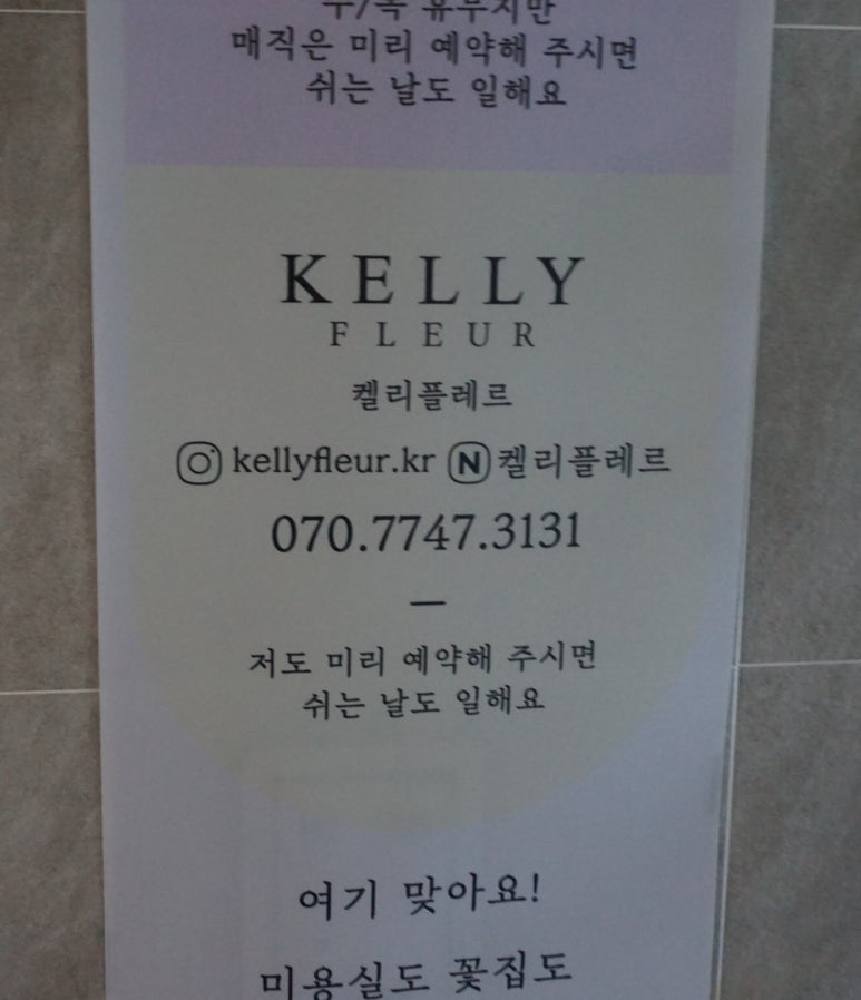 켈리플레르 이미지