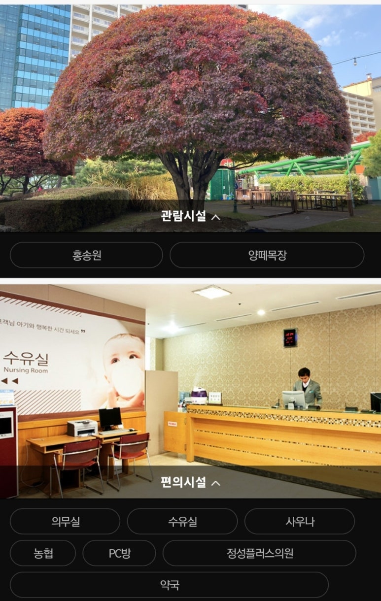 짱아PC방 이미지