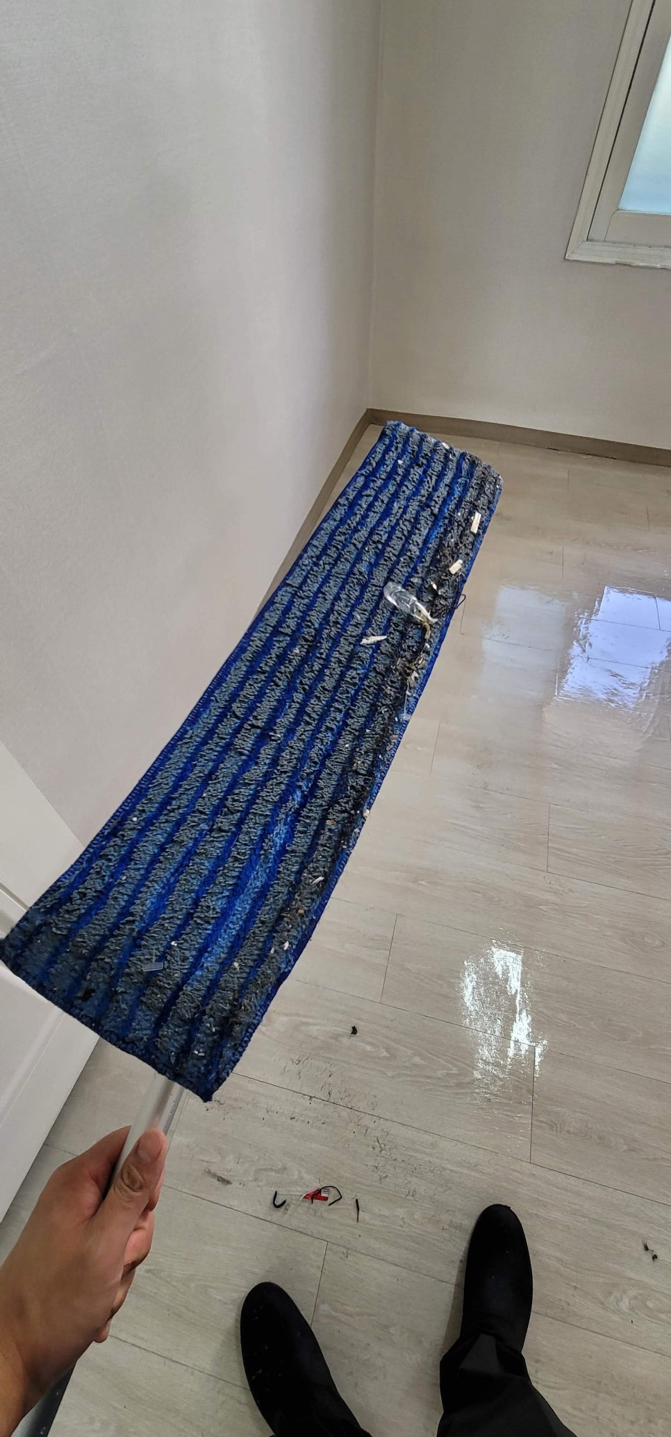 해바라기원주입주청소 이미지