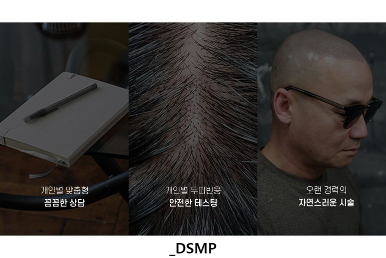 디에스엠피 이미지