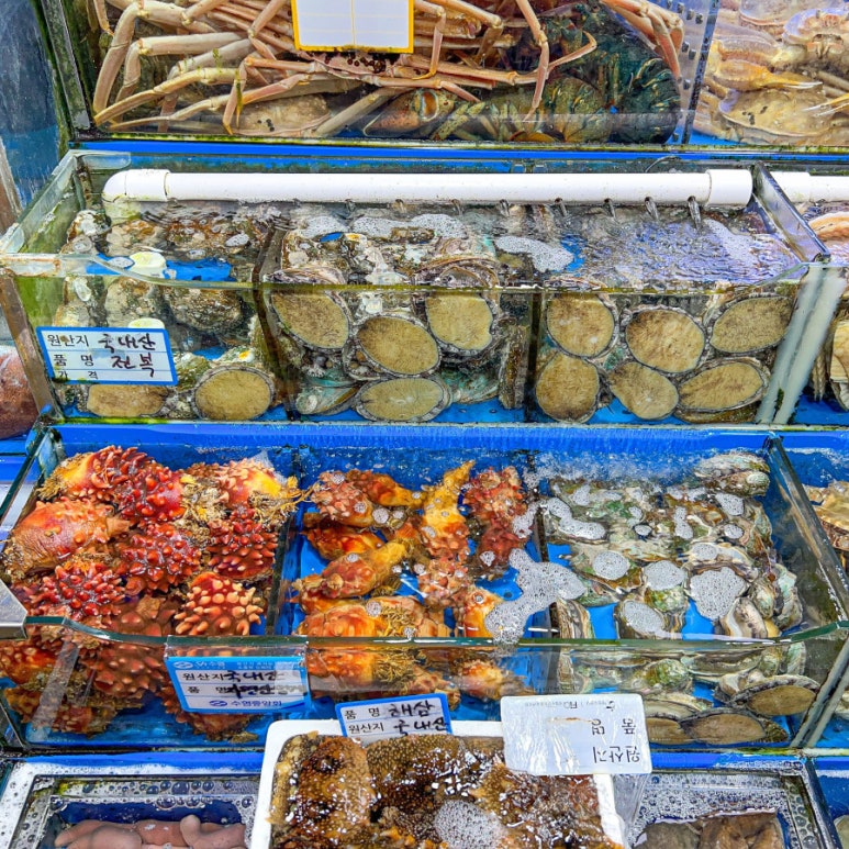 88수산 이미지