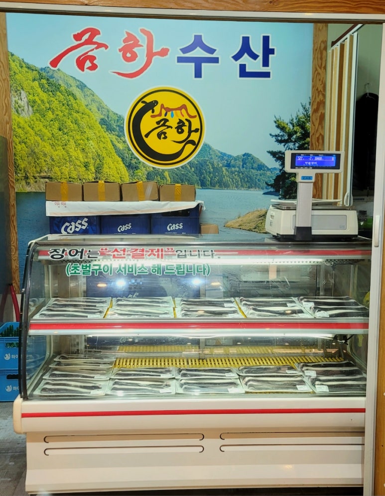 금하민물장어 이미지