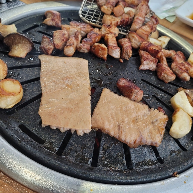 고밤도니 이미지