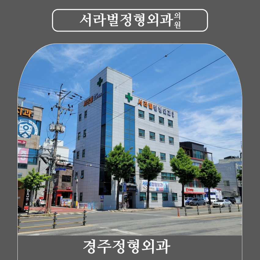 서라벌정형외과 이미지