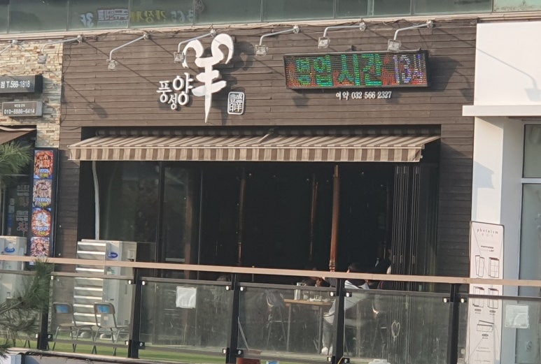풍성양 이미지