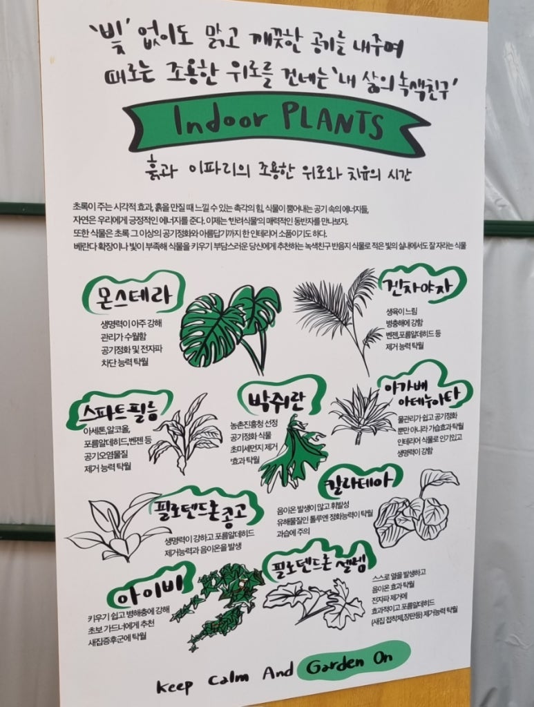 죽전화훼 이미지