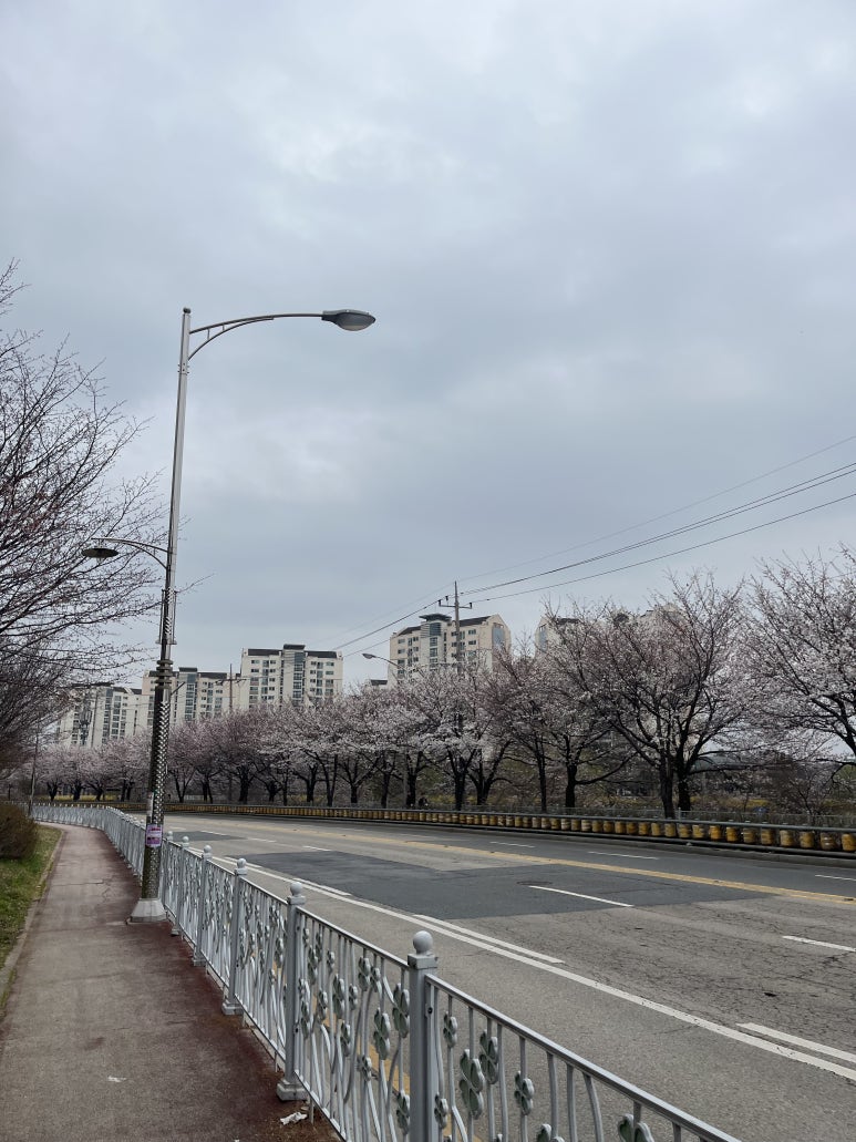 이구네일하가점 이미지