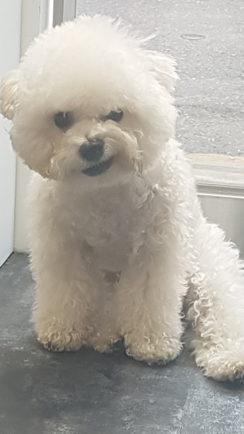 복권백화점 이미지