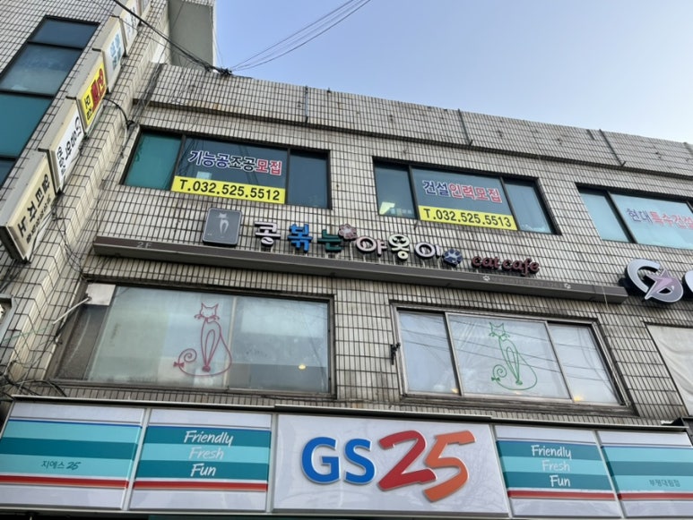 콩볶는야옹이 이미지