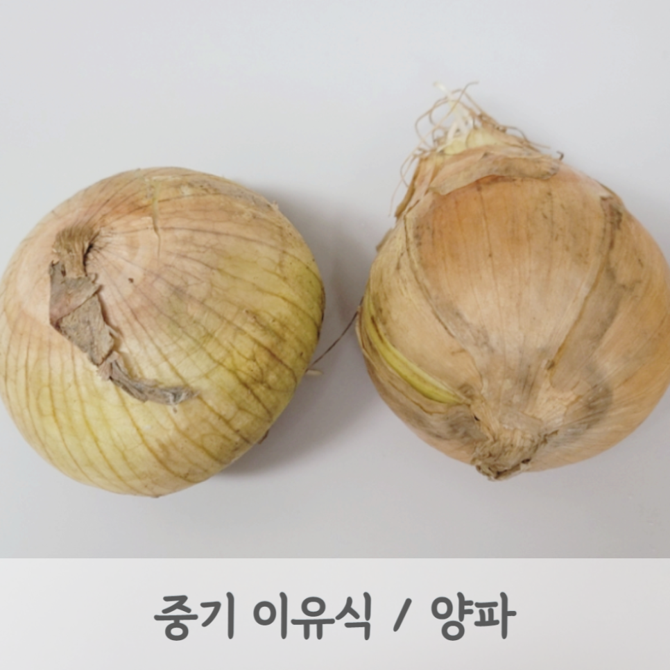 모도리베이비 이미지