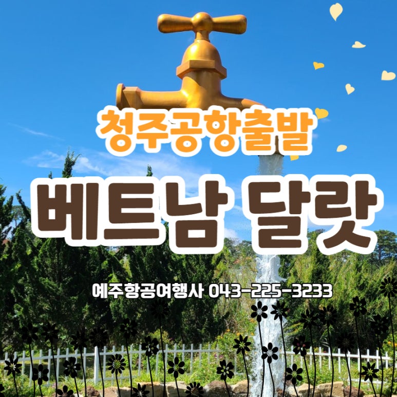 예주항공여행사 이미지