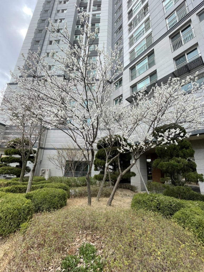 청수건설(주) 이미지