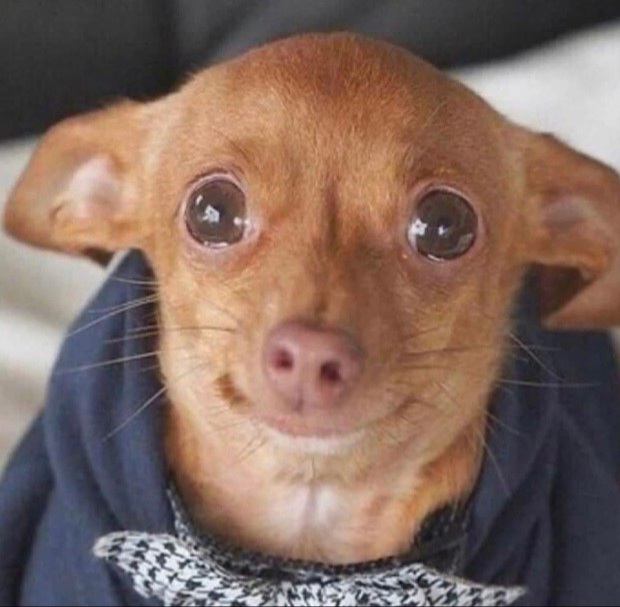 대해수 이미지