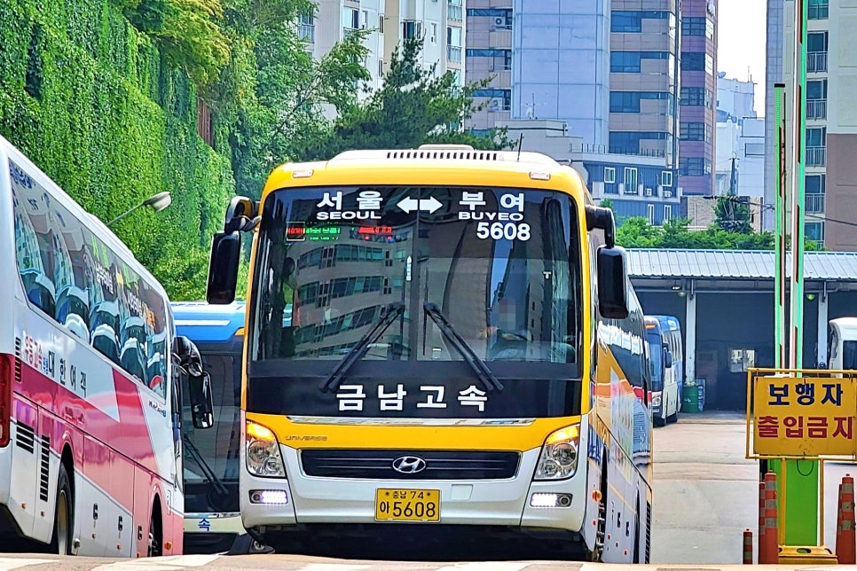 부여익스프레스 이미지