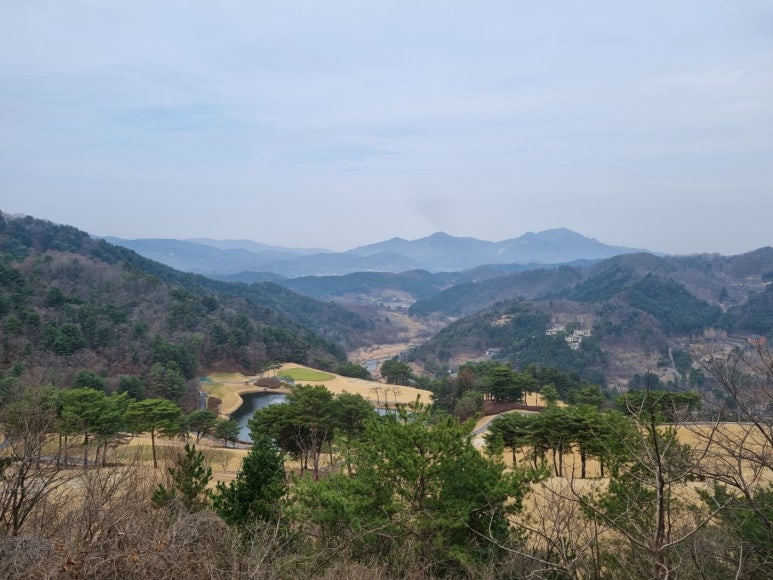 크리스탈밸리커피 이미지