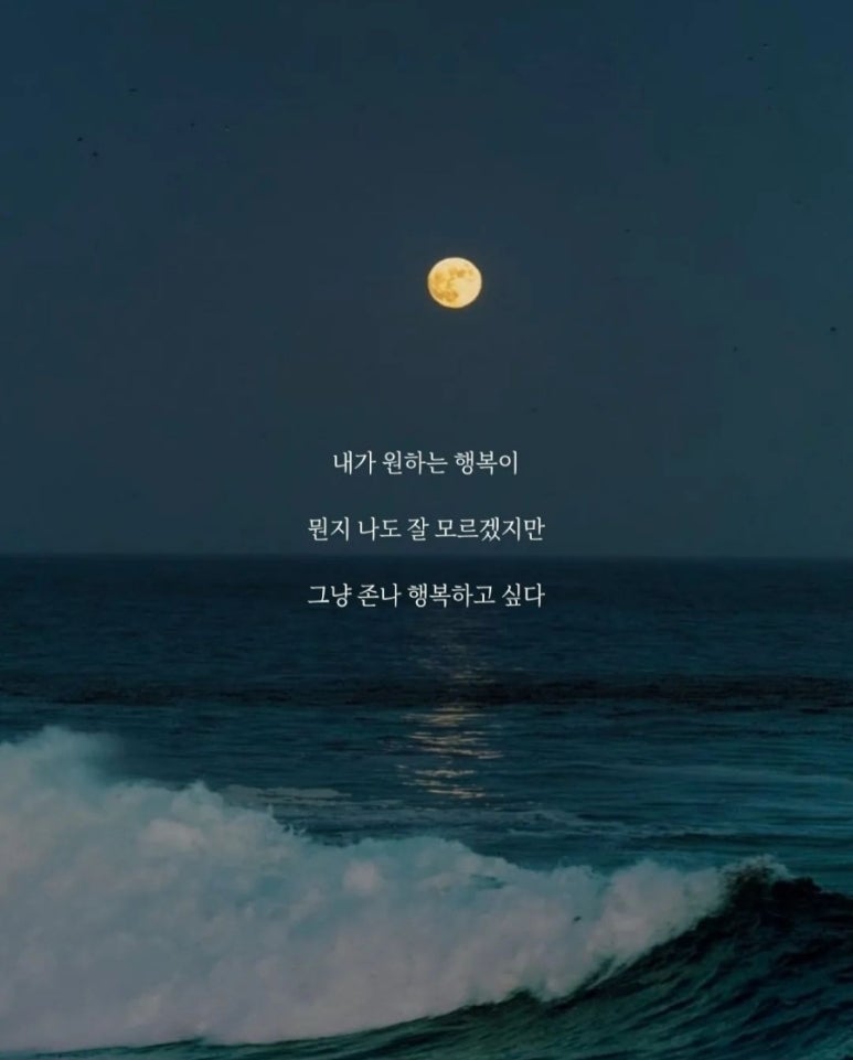 일호참치 이미지