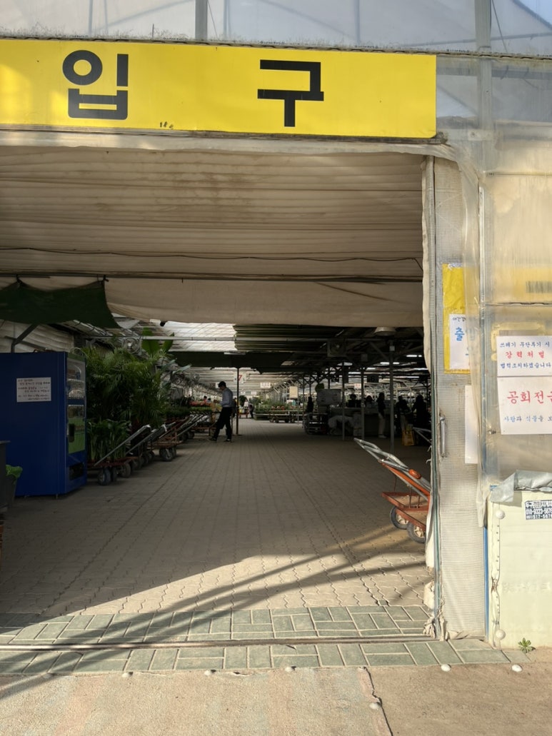 미래꽃화분 이미지