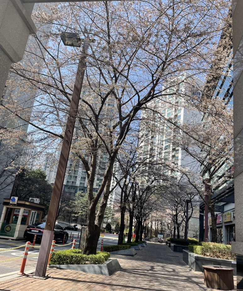 커피인류도곡 이미지